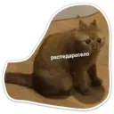 Կպչուն պիտակ