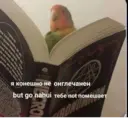 Stika