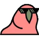 Límmiði