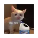 ਸਟਿਕਰ