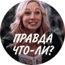 Samolepka