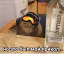 Samolepka