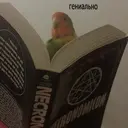 Налепница
