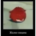 Adhesiu