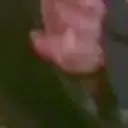 اسٹیکر