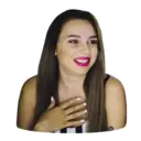 Samolepka