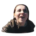 Samolepka