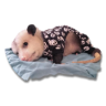 Límmiði