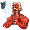 Stiker