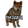 สติกเกอร์