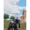 Nhãn dán