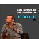 Klistermärke