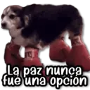 ஸ்டிக்கர்