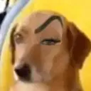 Límmiði