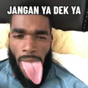 Stika