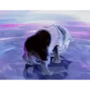 स्टिकर