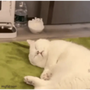 스티커
