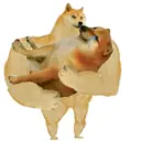Adhesiu