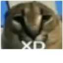 ਸਟਿਕਰ