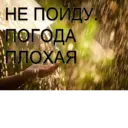 Ngjitës