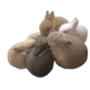 Figurinha