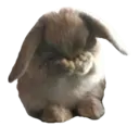 Figurinha