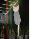 贴纸