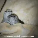 Стикер