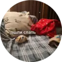 Стикер