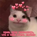 Стикер