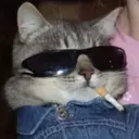 สติกเกอร์