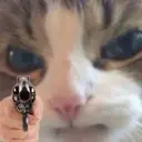 สติกเกอร์