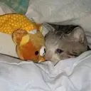 สติกเกอร์