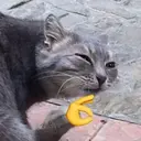 สติกเกอร์