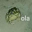 Adhesiu