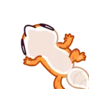 贴纸