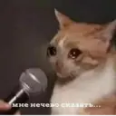 ස්ටිකර්