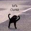 ස්ටිකර්