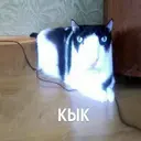 ස්ටිකර්