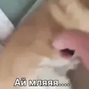 ස්ටිකර්