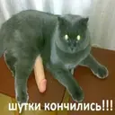 ස්ටිකර්