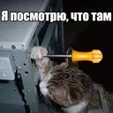 Стикер