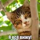 Стикер
