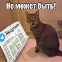 Стикер