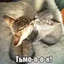Стикер