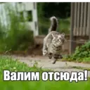Стикер