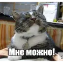 Стикер