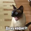 Стикер