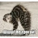 Стикер