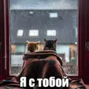 Стикер
